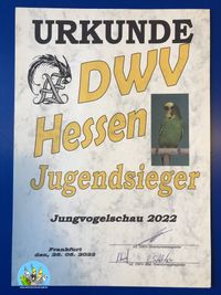 AZDWV_Jungvogelschau_06