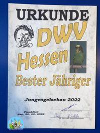 AZDWV_Jungvogelschau_07