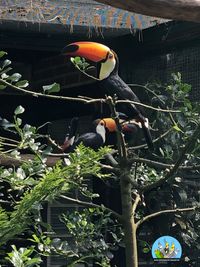 Vogelpark_Walsrode_06