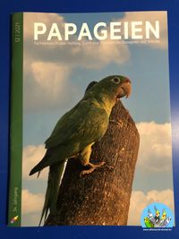 Papageien 12.2021