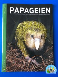 Papageien 06.2020