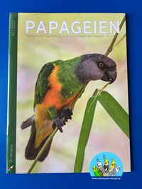 Papageien 10.2022