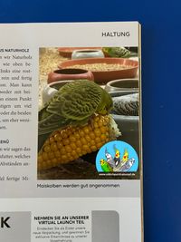 WP-Magazin 02.2022 Junge Wellensittiche und deren Aufzucht 04